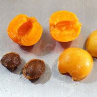 Industriële Abrikozenfruitzaadverwijderingsmachine Abrikozenzaad-Pitter Commerciële Abrikozenfruitkern-Scheidingsmachine