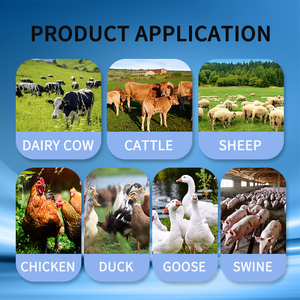 Aditivo alimentario, desintoxicante de micotoxinas solubles para rumiantes, aves de corral y cerdos, previene el envenenamiento por micotoxinas y mejora la salud - Product Image 5