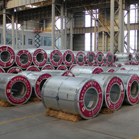 Bobina de Acero Galvanizado PPGI de 0.16-1.6mm, RAL9016 AZ30-AZ40, Alta Capa de Pintura, Prepintado, Estándar ASTM, Certificado CE