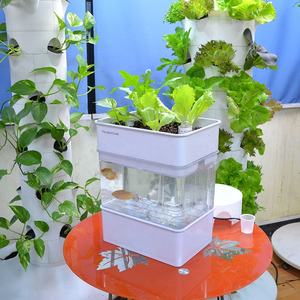Mini acuaponia ecosistema tanque de peces escritorio sistema ecológico Multi de invernaderos Aquaponics - Product Image 3