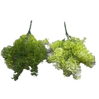 Nouvelle soie Simulation plante verte Base feuille verte bouquet fenouil herbe mariage route plomb fausses fleurs décoration murale noël