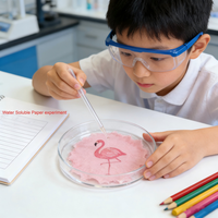 Formes découpées en papier hydrosoluble - Dissolution rapide dans l'eau normale - Cadeau personnalisable pour enfants - Fournitures pour expériences scientifiques STEAM