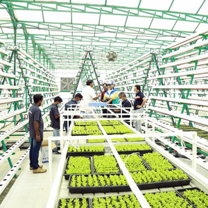 ระบบปั๊มน้ำหยดแบบ A-shape รุ่นใหม่ สำหรับการเกษตรในโรงเรือน ระบบปลูกพืชแนวตั้ง และอุปกรณ์ไฮโดรโปนิกส์ - Product Image 1