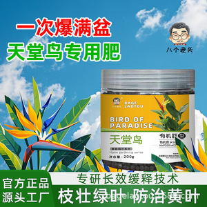 Engrais pour oiseaux de paradis Bage Laotou 200g, granulé organique pour le jardinage domestique - Product Image 4