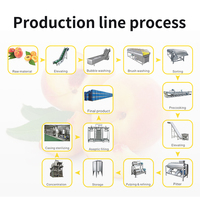 AICN – ligne industrielle de production de jus de fruits, boîte en carton de 125ml, machine de remplissage de jus, machine de fabrication de jus de pomme