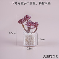 Mini-plante succulente artificielle en pot, modèle miniature, décoration de bureau pour micro-scène, petit ornement, accessoire de photographie