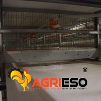 Ligne d'alimentation et de boisson pour cages à volailles de type A, projet clé en main pour élevages de poules pondeuses et reproducteurs