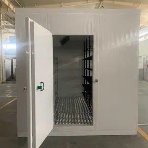 Commercial walk cold storage room freezer industrial refrigerator and freezer cold room walking cooler & freezer