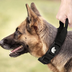 Collar Personalizado de Nailon Ajustable con Etiqueta de Aire para Perro, Accesorio Respetuoso con el Medio Ambiente - Product Image 2