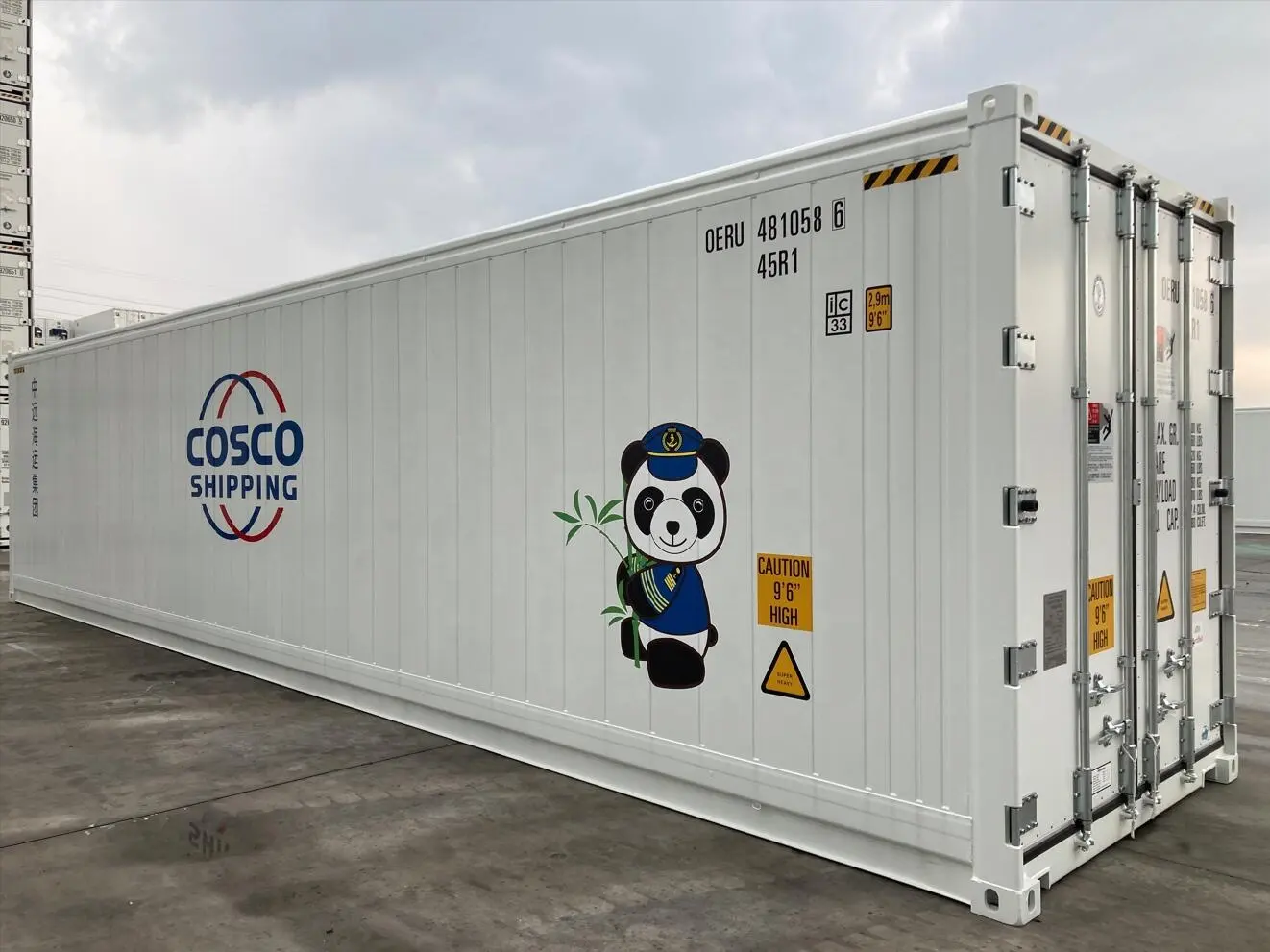 Reefer Shipping Container for 20ft 40ft Container made in china for sale with white colour