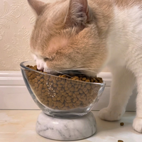 Makanan Kucing Kering 40 Rasa Kustom dan Desain Khusus Penjualan Langsung Pabrik Makanan Hewan Peliharaan Bernutrisi untuk Pertumbuhan Kucing Dewasa dan Anak Kucing