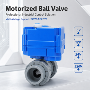 OEM Electric 2-Way Ball Valve <strong>Double</strong> Unions G/NPT Connections 1/2"-3/4" Sizes Liquid/Gas Media -20C 100C Media Temp - Product Image 2