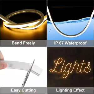 OEM ODM 12V/24V Diode électroluminescente flexible Lampe LED Lampe d'ambiance Lampe flexible Corde IP68/Mode commutateur WiFi - Product Image 3
