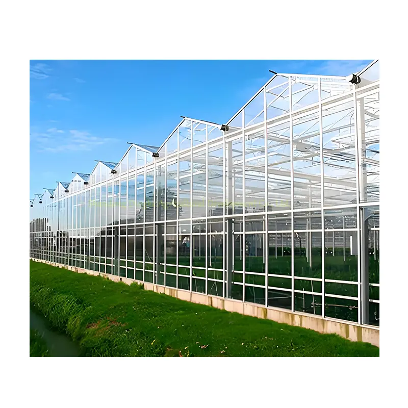 Strawberry Tomato Lettuce Growing Greenhouse Vertical Farming Nft Hydroponic System Multi-span smart Venlo Glass Greenhouse
