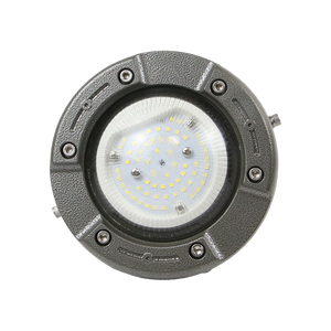 TUV ATEX Zone 1/2 взрывозащищенные светодиодные прожекторы 10 Вт 30 Вт 50 Вт IP66 алюминиевые светильники высокого отсека для заправочной станции и морского использования - Product Image 3