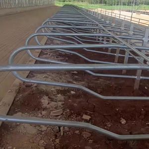 Étables sans lit <span class=keywords><strong>de</strong></span> ponte <span class=keywords><strong>de</strong></span> vache en acier <span class=keywords><strong>de</strong></span> haute qualité Granges laitières avec un nouveau design pour l'état utilisé par la ferme <span class=keywords><strong>de</strong></span> bétail - Product Image 2