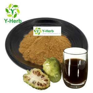 Morinda Citrifolia P.E. Factory Supply Noni Beverage Powder Morinda Citrifolia/Noni Fruit/Noni Powder