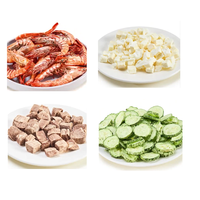 QD-DFD-04 4KG Mini Vacuümvriesdroger Draagbare Huishoudelijke Lyofilisator voor het Drogen van Huisdierenvoer, Fruit, Groenten en Snacks