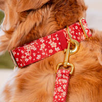 Collier de luxe réglable pour chien avec boucle métallique souple, accessoire personnalisé pour animaux de compagnie avec impression par transfert thermique