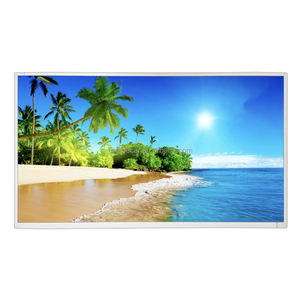Module d'affichage LCD TFT 10,1 pouces TM101DDHG06-71 du fournisseur d'usine avec résolution 1024x600, 117 PPI, 50 broches FPC avec TTL - Product Image 2