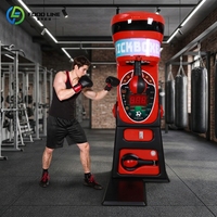 Machine de boxe à monnayeur, directe usine, avec musique Bluetooth et éclairage LED, équipement de jeu d'arcade pour parc d'attractions