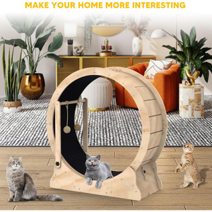 Rueda <span class=keywords><strong>de</strong></span> ejercicio interactiva para gatos <span class=keywords><strong>de</strong></span> alta calidad, divertida cinta <span class=keywords><strong>de</strong></span> correr sostenible para gatos, artículo popular <span class=keywords><strong>de</strong></span> tendencia <span class=keywords><strong>de</strong></span> <span class=keywords><strong>hoy</strong></span> - Product Image 4