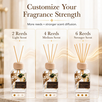 Diffuseur de parfum sur mesure OEM/ODM, bouteille en verre 100 ml, bouchon en bois, bâtonnets en rotin naturel, parfum d'ambiance, vente en gros, aromathérapie
