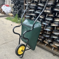 Carretilla de Metal WB3800 de Alta Resistencia con Capacidad de Carga de 120 kg para Uso en Construcción, Personalizable OEM