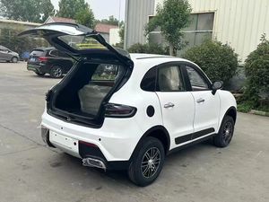 GGMA Family elettrica a quattro ruote per uso domestico-101 sicura ed ecologica-batteria da 50-70kwh a 200 km - Product Image 4