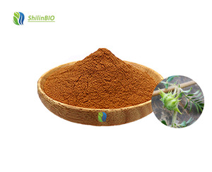 SLBIO 純天然トリビュラス・テレストリス抽出物粉末 40%-90% 総サポニン含有 - Product Image 1