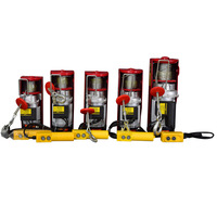 Mini palan électrique treuil Construction palan câble métallique levage marchandises 300kg Micro palan à corde électrique
