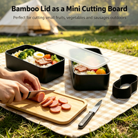 Boîte alimentaire double couche avec couvercle en bambou, boîte à lunch en plastique avec sangle pour l'école, la cuisine, le camping, pour desserts, céréales et repas