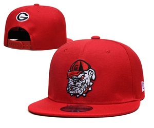 Nouveautés Era Casquette de sport imperméable brodée en 3D à 6 panneaux Casquette de sport vintage à visière plate Casquette de basket-ball universitaire Snapback - Product Image 5