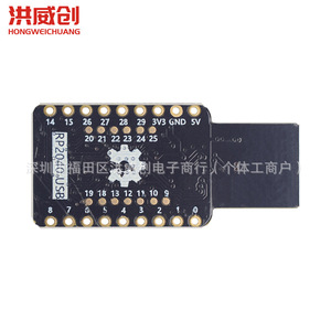 Carte de développement Raspberry Pi PR2040 Mini 4M USB pour le développement - Product Image 2