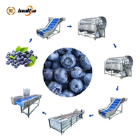Automatische fruit- en bessenwasmachine, sorteermachine voor kumquats en aardbeien.