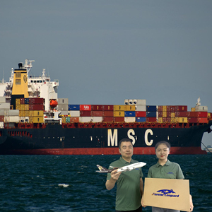 Servizio di corriere cina agente di spedizione a usa/uk, spedizioniere cina al Regno Unito via mare - Product Image 6