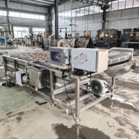 Volledig automatische roestvrijstalen fruit- en groentewasmachine met motor voor sojabonen en maïs, capaciteit 100-500 kg/uur