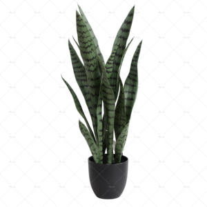 Plante serpent artificiel résistant aux UV | Usine directe | Faux <span class=keywords><strong>Sansevieria</strong></span> abordable pour la décoration intérieure et extérieure - Product Image 6