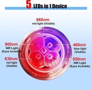 <span class=keywords><strong>ปาก</strong></span>กาบำบัดด้วยแสงสีแดงแบบกำหนดเอง 460~900 นาโนเมตร อุปกรณ์รักษา<span class=keywords><strong>แผล</strong></span>ร้อนในสำหรับปาก จมูก หู และดวงตา - Product Image 4
