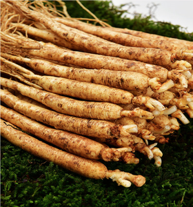 Raíz de <span class=keywords><strong>ginseng</strong></span> Qingchun <span class=keywords><strong>Ginseng</strong></span> seco <span class=keywords><strong>Ginseng</strong></span> fresco a buen precio - Product Image 4