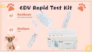 Kit de diagnóstico rápido para el cuidado de mascotas, kit de prueba de Cdv y moquillo para perros y gatos - Product Image 2