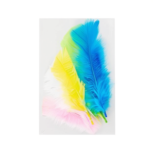 ILAN Pluma 14Cm Bianco 6 Pezzi Piume Decorative - Product Image 1