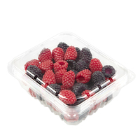 Boîtes d'emballage personnalisées en plastique de 1,5 kg pour produits frais, plateaux agricoles pour raisins, fraises, fruits, avec trous