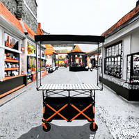 Chariot de marché/camping pliable à quatre roues avec logo personnalisé OEM, multicolore, plateau de table 72x167cm, plusieurs tailles disponibles