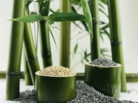 Litière pour chat en bambou naturel, sans poussière, agglomérante, 100% biodégradable, jetable dans les toilettes, à base de plantes, pour la vente en gros OEM ODM