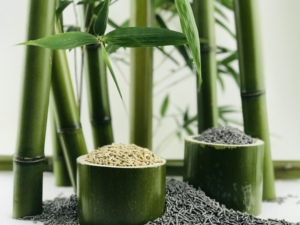 Litière pour chat en bambou naturel, sans poussière, agglomérante, 100% biodégradable, jetable dans les toilettes, à base de plantes, pour la vente en gros OEM ODM - Product Image 3