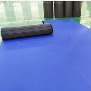 Bjj Tatami CuộN ra thảm Đấu Vật CuộN Mat võ thuật judo rollout thảm - Product Image 2