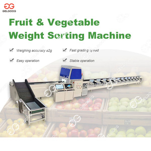 Sistema Industrial de Clasificación y Calibración de Frutas, Máquina Contadora de Transportadores de Clasificación, Clasificador Automático de Frutas y Verduras - Product Image 3
