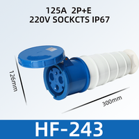 Connecteurs de prise industrielle à contact en cuivre HEF 125A 110V-400V 3 broches/4 broches/5 broches IP67 Boîtier en nylon PA pour usage industriel