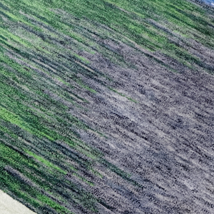 Tapis moderne en laine de luxe fait main Tapis d'intérieur commercial Maison Hôtel Prière Décoration Tissé Pile coupée Tapis tufté mur à mur - Product Image 1